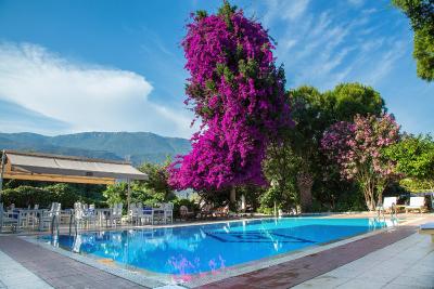 کلوب انتیفلز