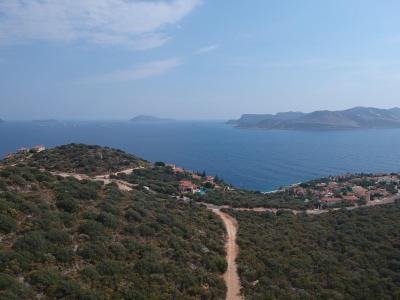 کلوب انتیفلز