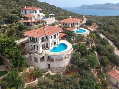 کلوب انتیفلز