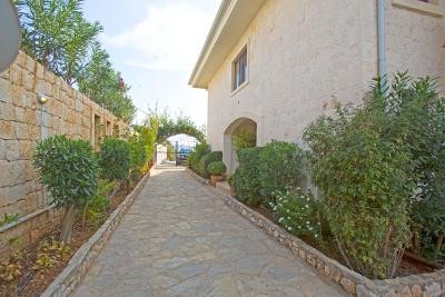 کلوب انتیفلز