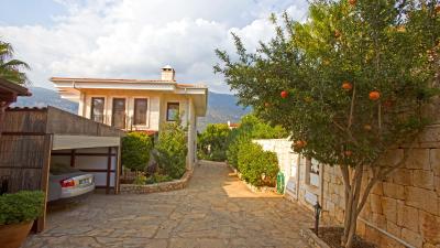 کلوب انتیفلز