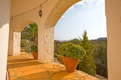 کلوب انتیفلز