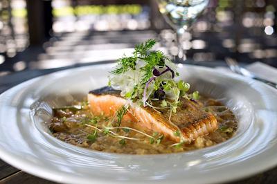 دوبلتری بای هیلتون هتل آلیس اسپرینگز