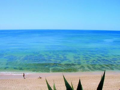 هلید این آلگارو-ارماکاو د پرا