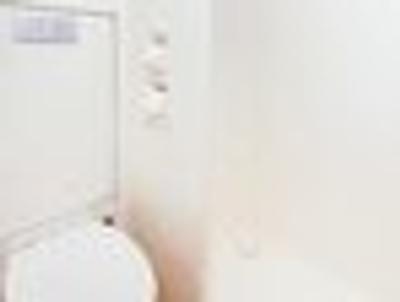 ایبیز بوجت است پترز