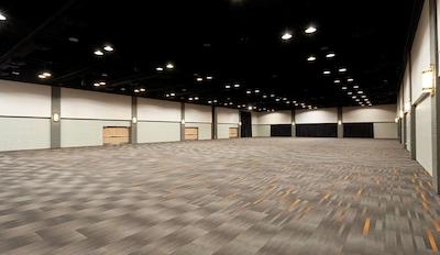 هیلتون ساینت جهن