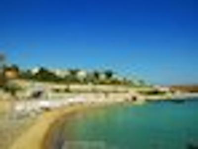 شاهین یوواسی