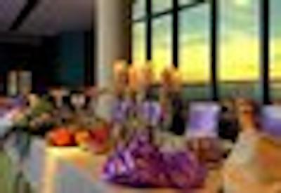 گولدن تولیپ انا تور