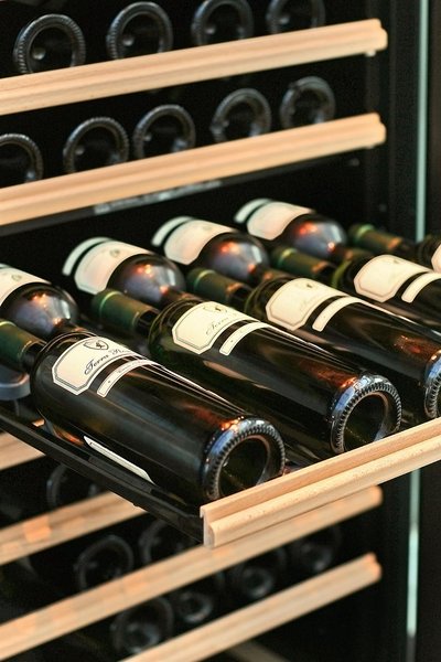 گولدن تولیپ انا تور