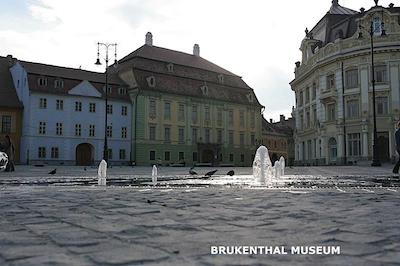 گولدن تولیپ انا تور