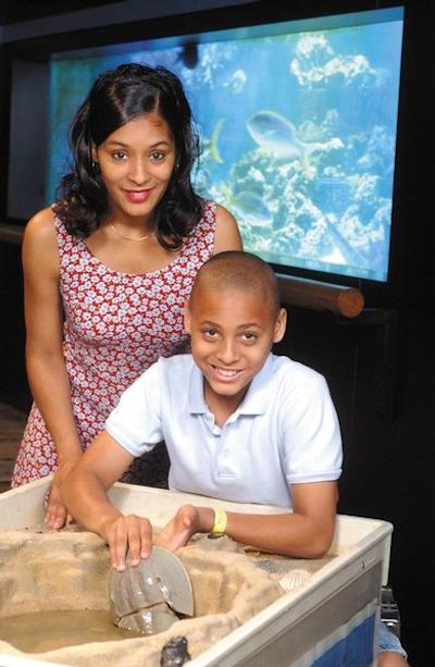 هامپتون این اند سویتز چارلت-آیرپرت