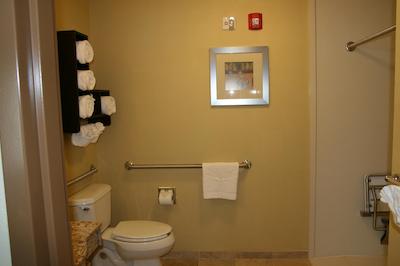 هامپتون این اند سویتز جاکسُنویل اسود-بارترام پارک