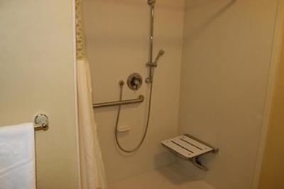 هامپتون این اند سویتز جاکسُنویل اسود-بارترام پارک