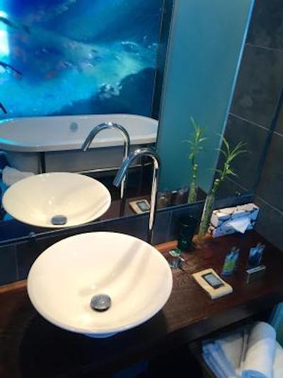 هتل دیزاین لز بینز دوچز