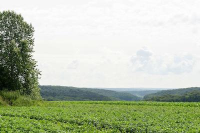 هستلری دو پیفسهف