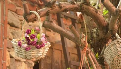 کیتاپوی هتل