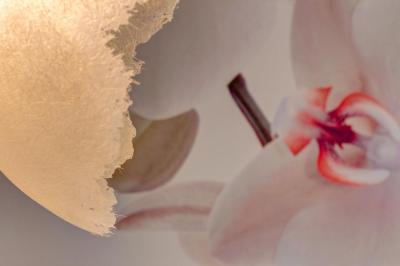 ایل کنونتو دی فیری دی ستا