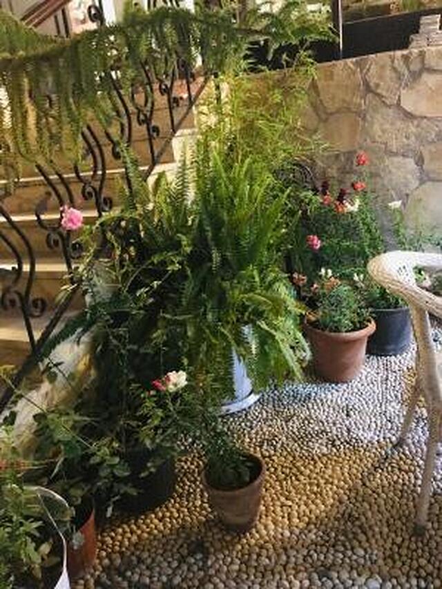 کالیی هتل