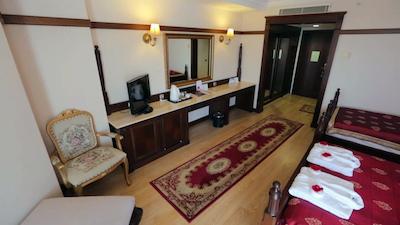 دلفین پالاس هتل