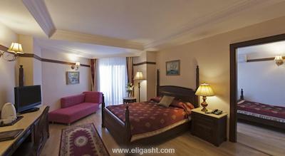 دلفین پالاس هتل