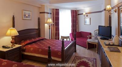 دلفین پالاس هتل