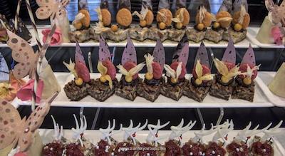 دلفین پالاس هتل