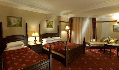 دلفین پالاس هتل