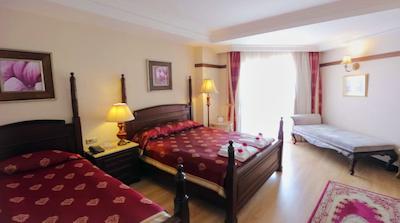 دلفین پالاس هتل