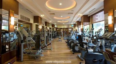 دلفین پالاس هتل