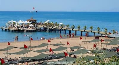 دلفین پالاس هتل