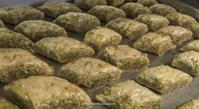 دلفین پالاس هتل