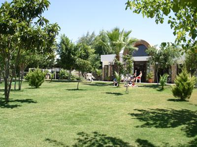 میمسا اپارت