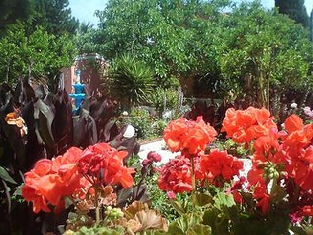 سملی