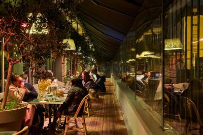 ماما شلتر پاریز