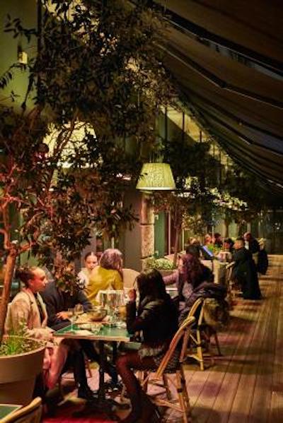 ماما شلتر پاریز