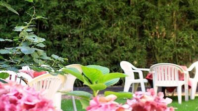 بریت هتل نتر-دام