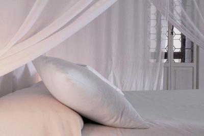 پالازو سُدرینی