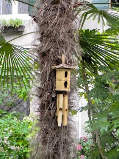 پالازو سُدرینی