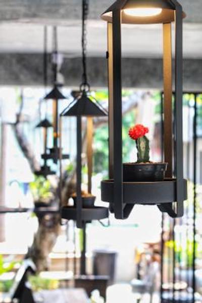 پاراگون این