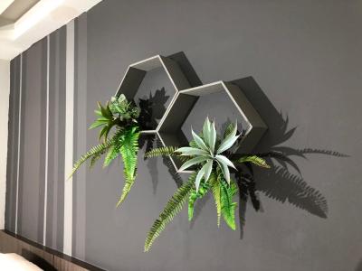 پاراگون این