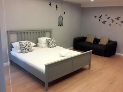 پاراگون این