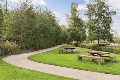 دز این کانک نرتون کانز م6 تل