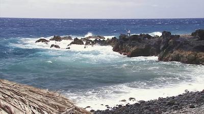 فور ویوز اُسیز