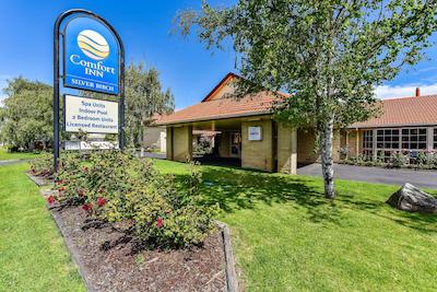 کمفرت این سیلور بیرچ متر این