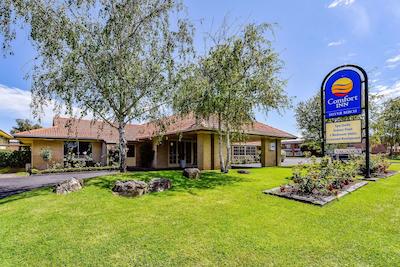 کمفرت این سیلور بیرچ متر این