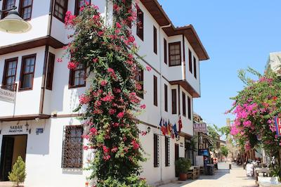 ساباه پانسیین