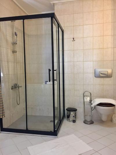 ساباه پانسیین