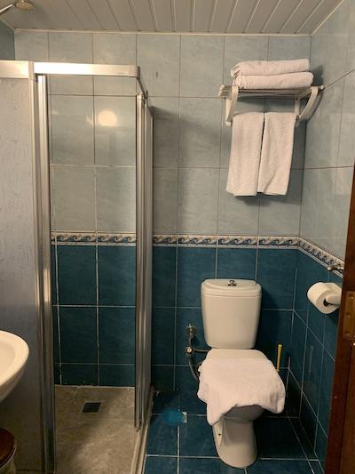 ساباه پانسیین