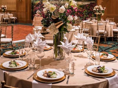 سُفیتل نو یرک