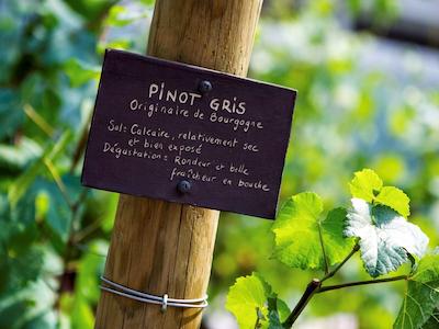 سُفیتل استراسبورگ گراند ایل